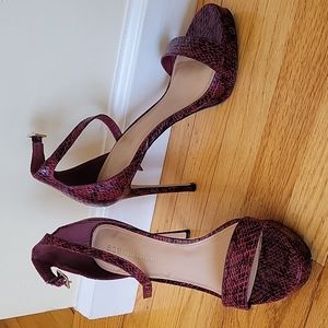 BCBG platform